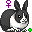 Chinese Zodiac Rabbit