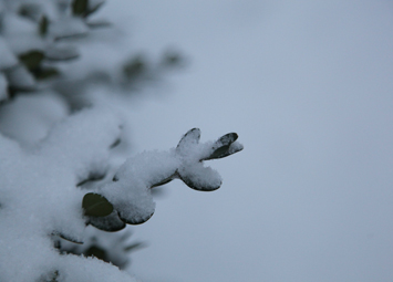 Snow in Beijing 2012