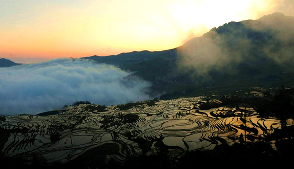 Yunnan terraced fields