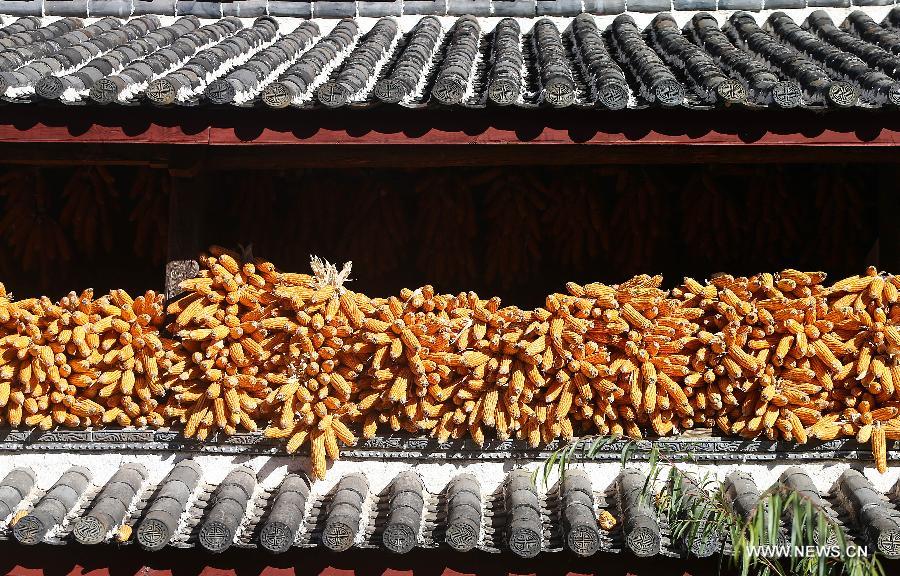 CHINA-YUNNAN-LIJIANG-SCENERY (CN)