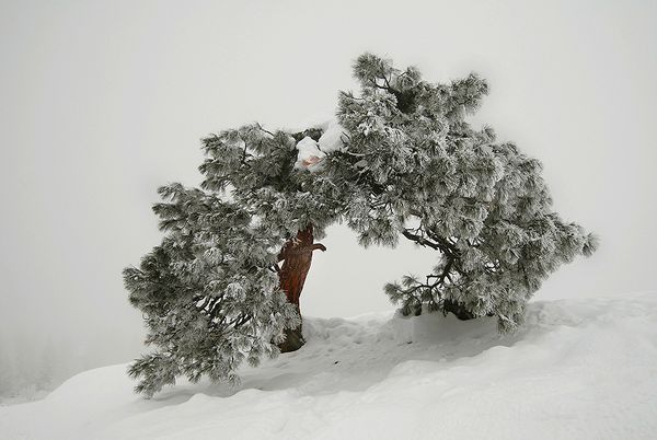 Enjoy the fairy winter scenery all around the world!