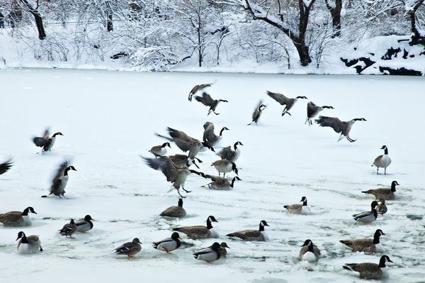 Enjoy the fairy winter scenery all around the world!