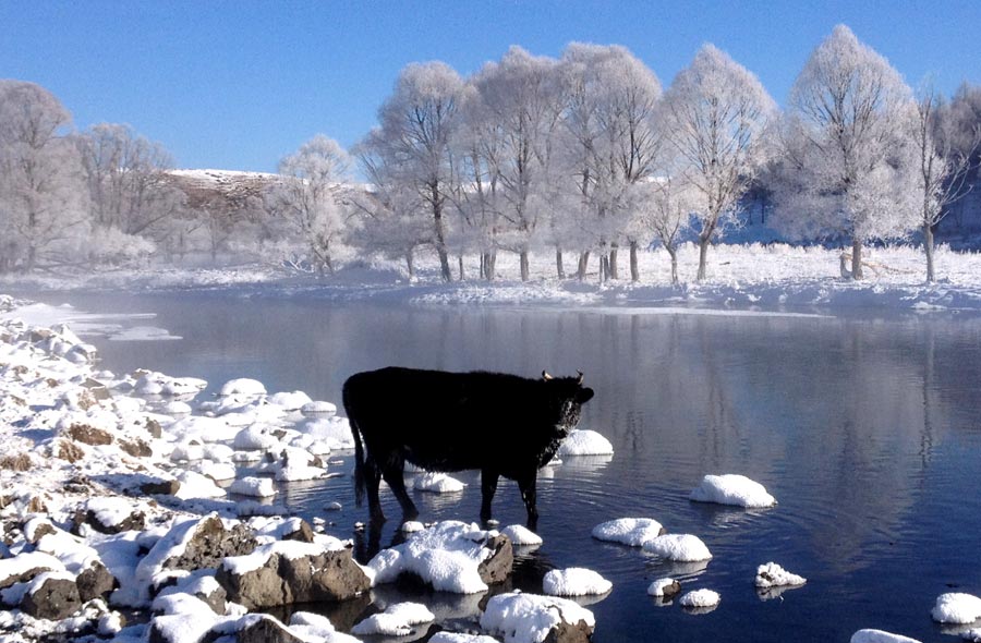 Arxan's 'ice-free' fairytale river