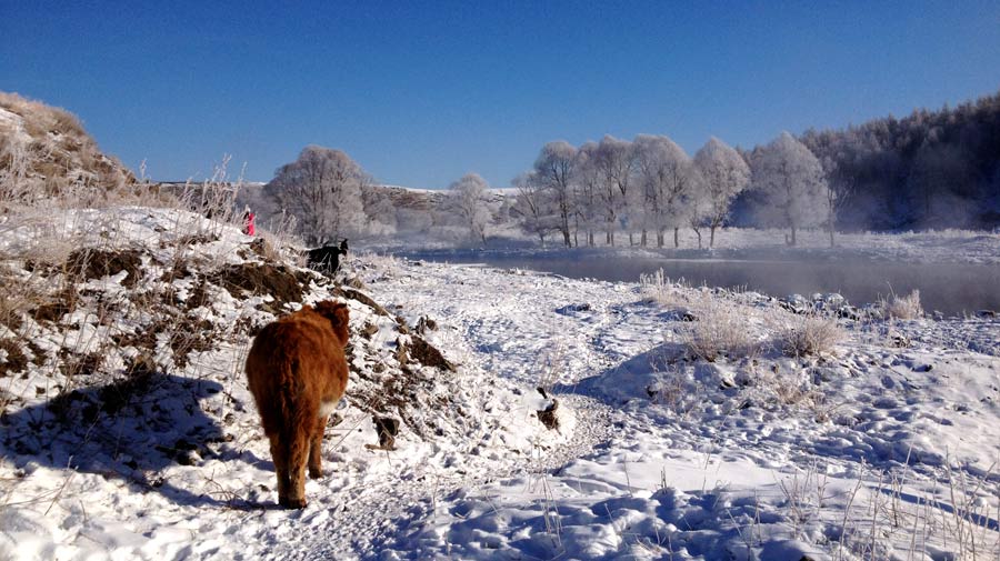 Arxan&apos;s &apos;ice-free&apos; fairytale river