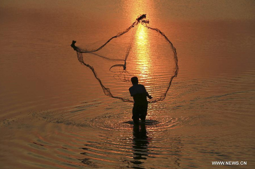 A fisherman casts a net for fishing at dawn in Rizhao, east China's Shandong Province, June 29, 2014. [Photo/Xinhua]