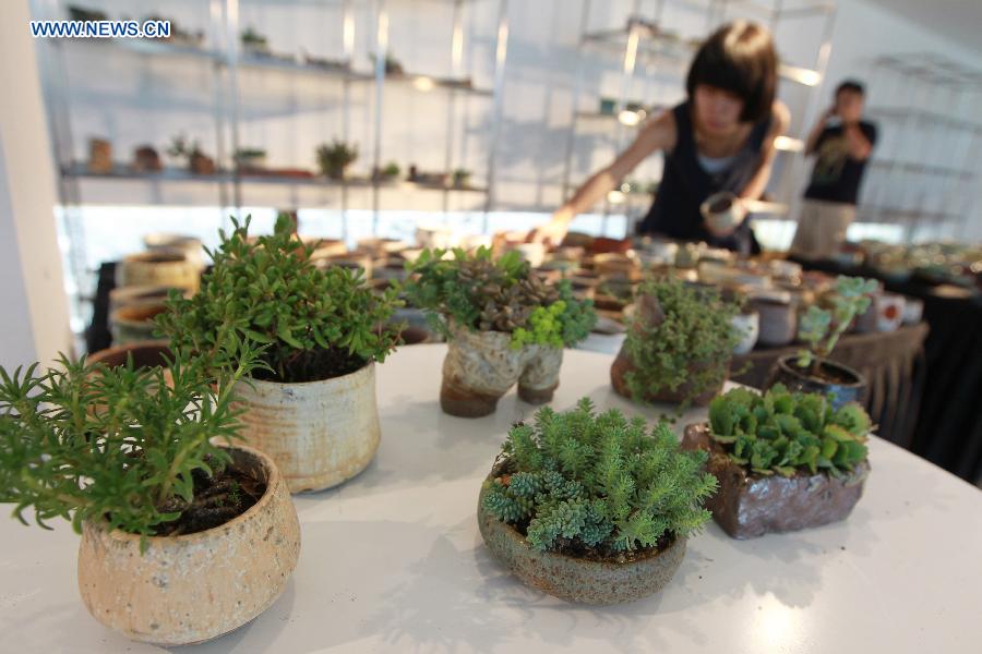 A member of staff decorates the booth of a succulent plant exhibition in Shanghai, east China, July 3, 2014. The first Shanghai succulent plant exhibition will kick off on July 4. [Photo/Xinhua]